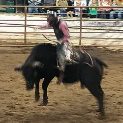 Nechako Valley Exhibition Grounds - Vanderhoof