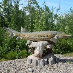Nechako White Sturgeon Conservation Centre - Vanderhoof