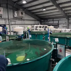 Nechako White Sturgeon Conservation Centre - Vanderhoof