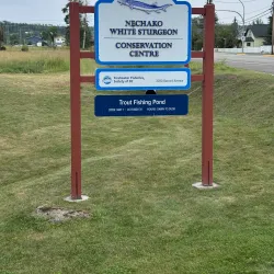 Nechako White Sturgeon Conservation Centre - Vanderhoof