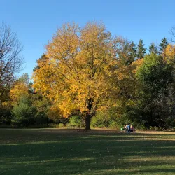 Boyd Conservation Area - Vaughan