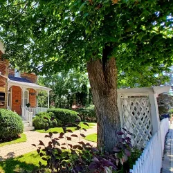 Kleinburg Village - Vaughan