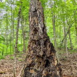 Kortright Centre for Conservation - Vaughan