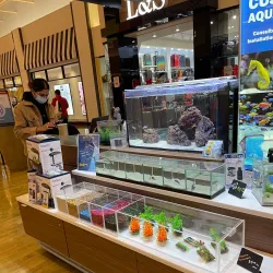 Vaughan Mills - Vaughan