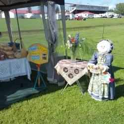 Vegreville Arena - Vegreville