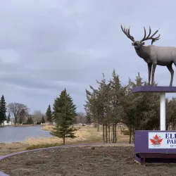 Vegreville Farmers Market - Vegreville