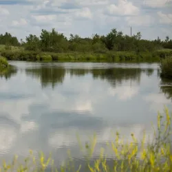 Vegreville Golf Club - Vegreville