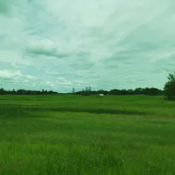 Vegreville Golf Club - Vegreville