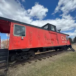 Vegreville Pysanka (Ukrainian Easter Egg) - Vegreville