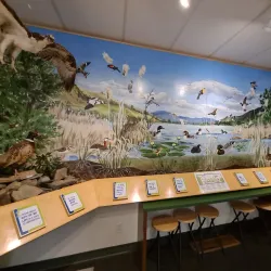 Allan Brooks Nature Centre - Vernon