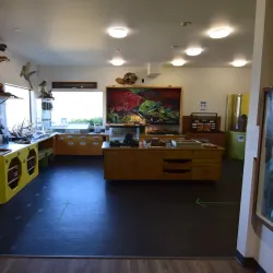 Allan Brooks Nature Centre - Vernon