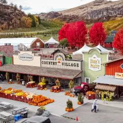 Davison Orchards Country Village - Vernon