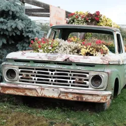 Davison Orchards Country Village - Vernon