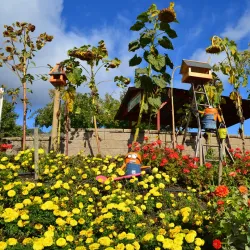 Davison Orchards Country Village - Vernon