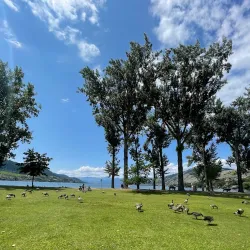 Kin Beach Provincial Park - Vernon