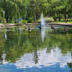 Polson Park - Vernon