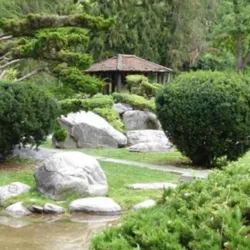 Polson Park - Vernon