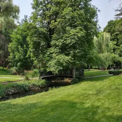 Polson Park - Vernon