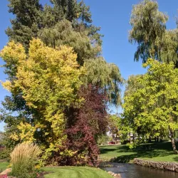 Polson Park - Vernon