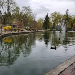 Polson Park - Vernon