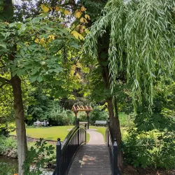 Polson Park - Vernon