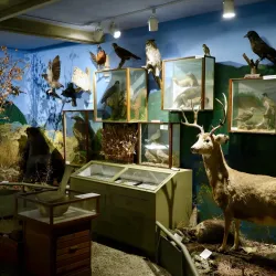 Vernon Museum and Archives - Vernon