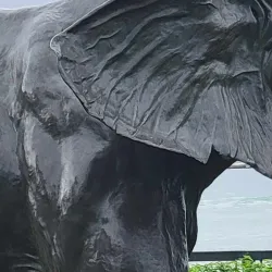 Sydenham River Park - Wallaceburg