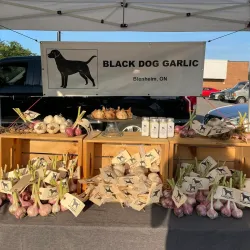 Wallaceburg Farmers' Market - Wallaceburg
