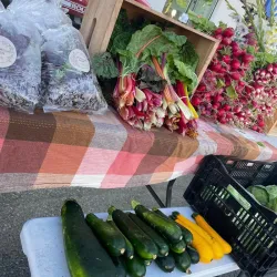 Wallaceburg Farmers' Market - Wallaceburg