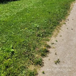 Wallaceburg Waterfront Trail - Wallaceburg