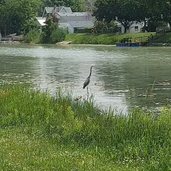 Wallaceburg Waterfront Trail - Wallaceburg