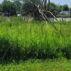 Wallaceburg Waterfront Trail - Wallaceburg