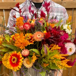 Warman Community Gardens - Warman