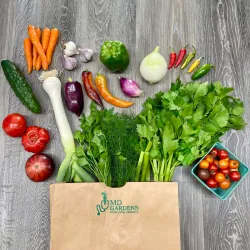 Warman Community Gardens - Warman