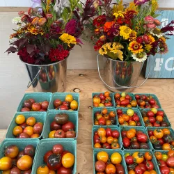 Warman Community Gardens - Warman