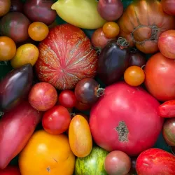 Warman Community Gardens - Warman