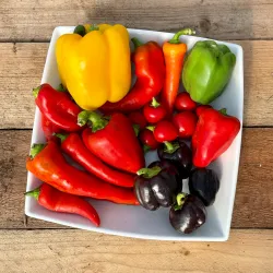 Warman Community Gardens - Warman