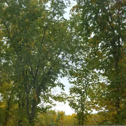 Warman Lions Park - Warman