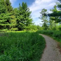 Laurel Creek Conservation Area - Waterloo