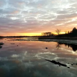 Laurel Creek Conservation Area - Waterloo