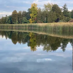 Laurel Creek Conservation Area - Waterloo