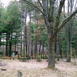 Laurel Creek Conservation Area - Waterloo