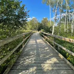 Laurel Creek Conservation Area - Waterloo