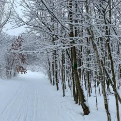 Laurel Creek Conservation Area - Waterloo