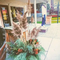 St. Jacobs Village - Waterloo