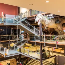 The Museum - Waterloo