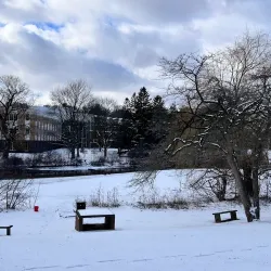 University of Waterloo Campus - Waterloo
