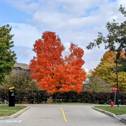 University of Waterloo Campus - Waterloo