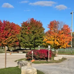 Waterloo Park - Waterloo