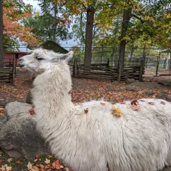 Waterloo Park - Waterloo